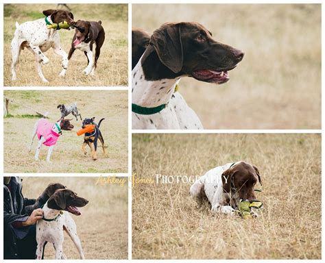 texas gsp rescue